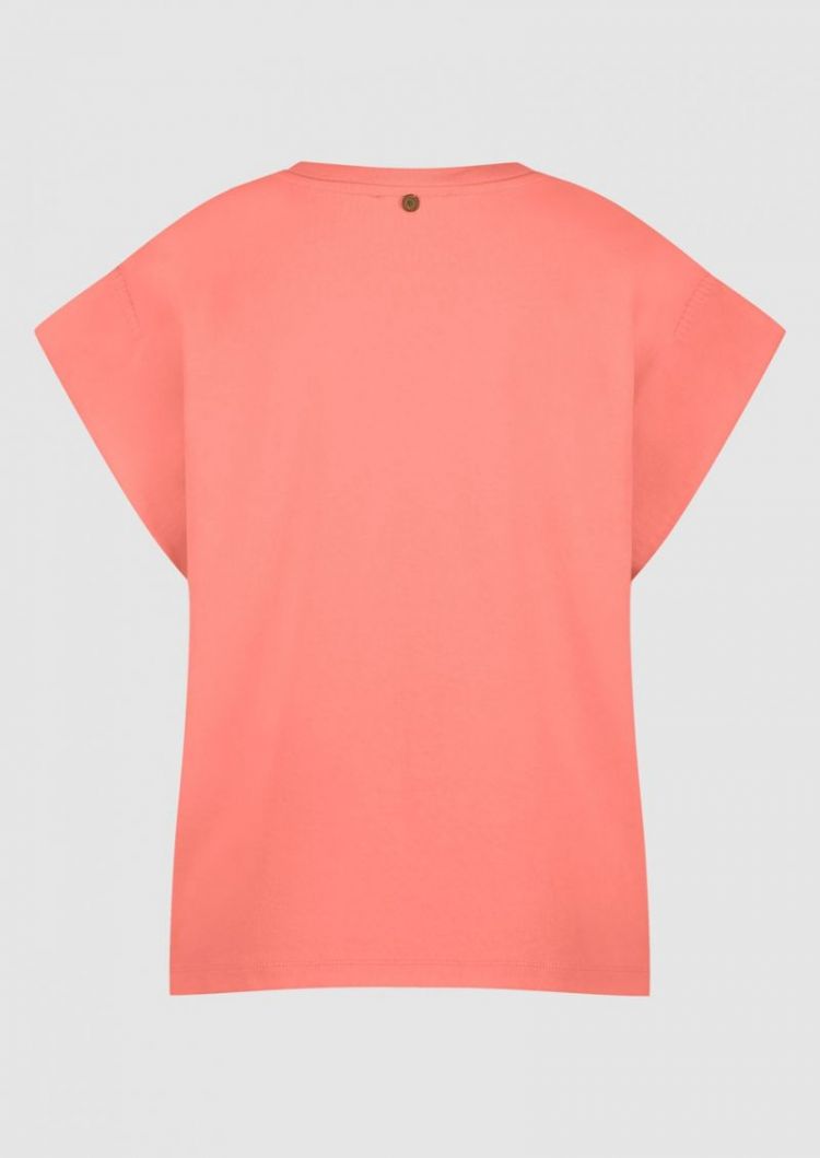  PAPAYA 