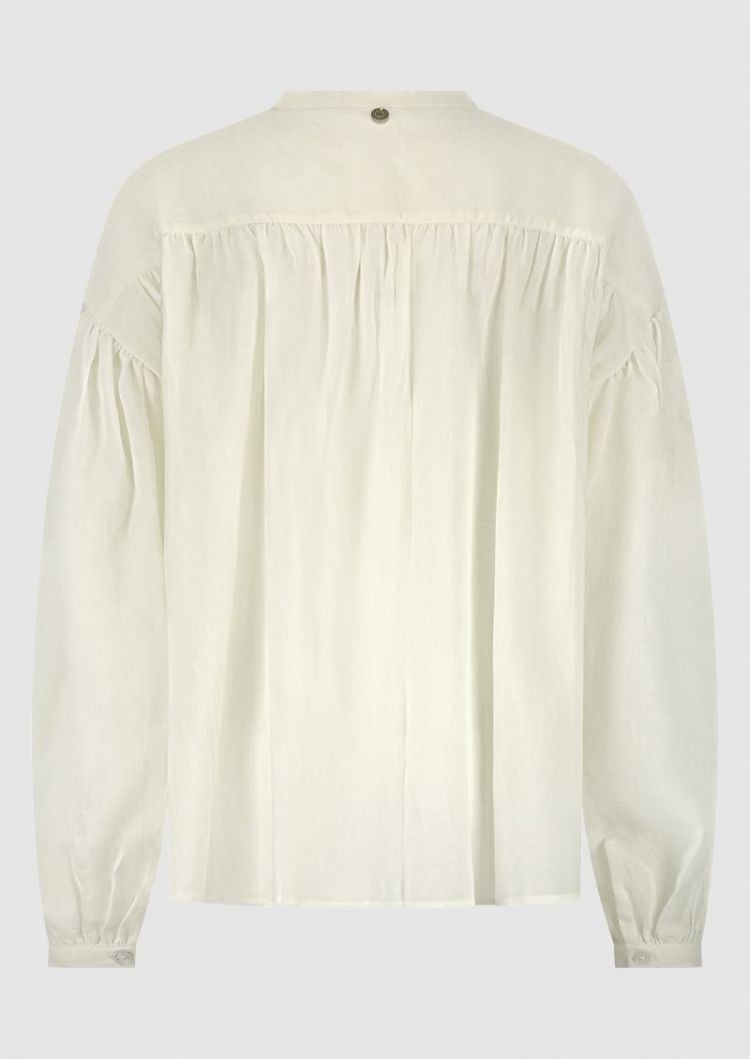  COTTON