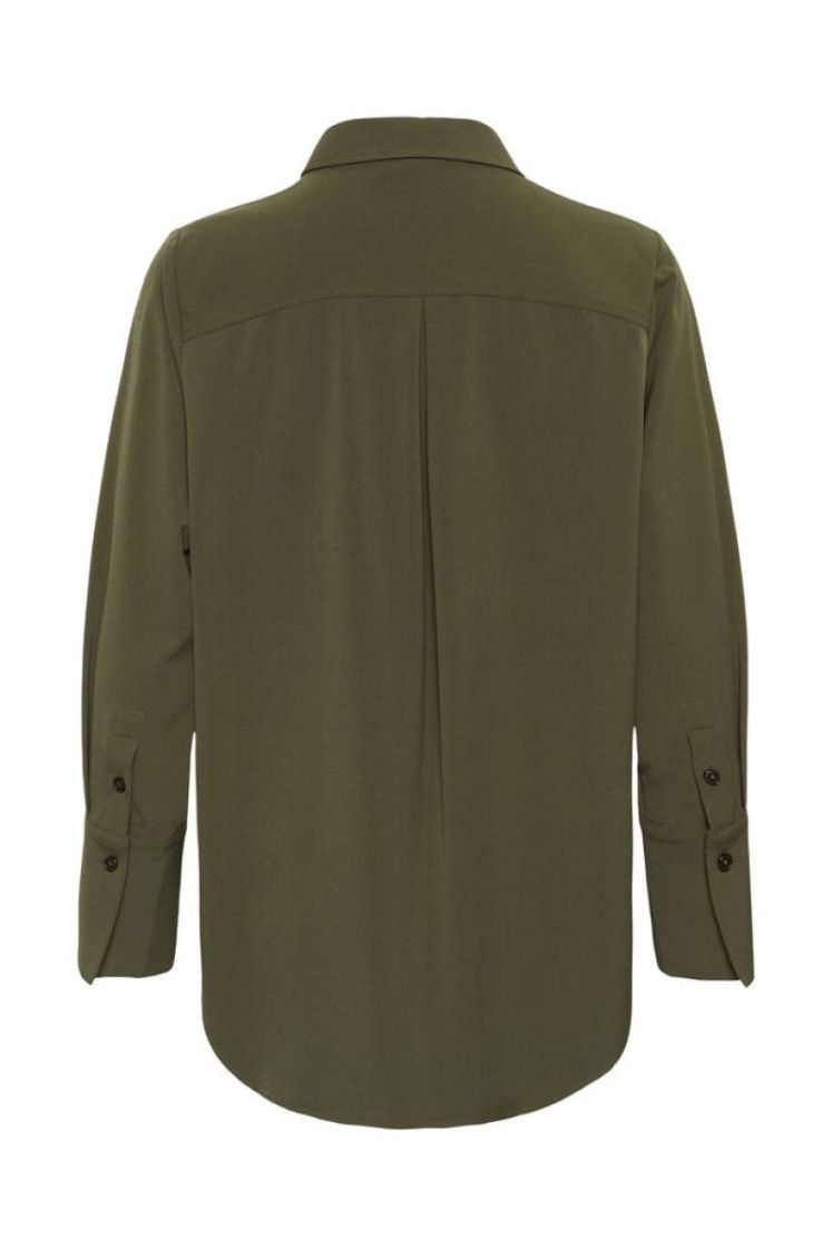  OLIVE