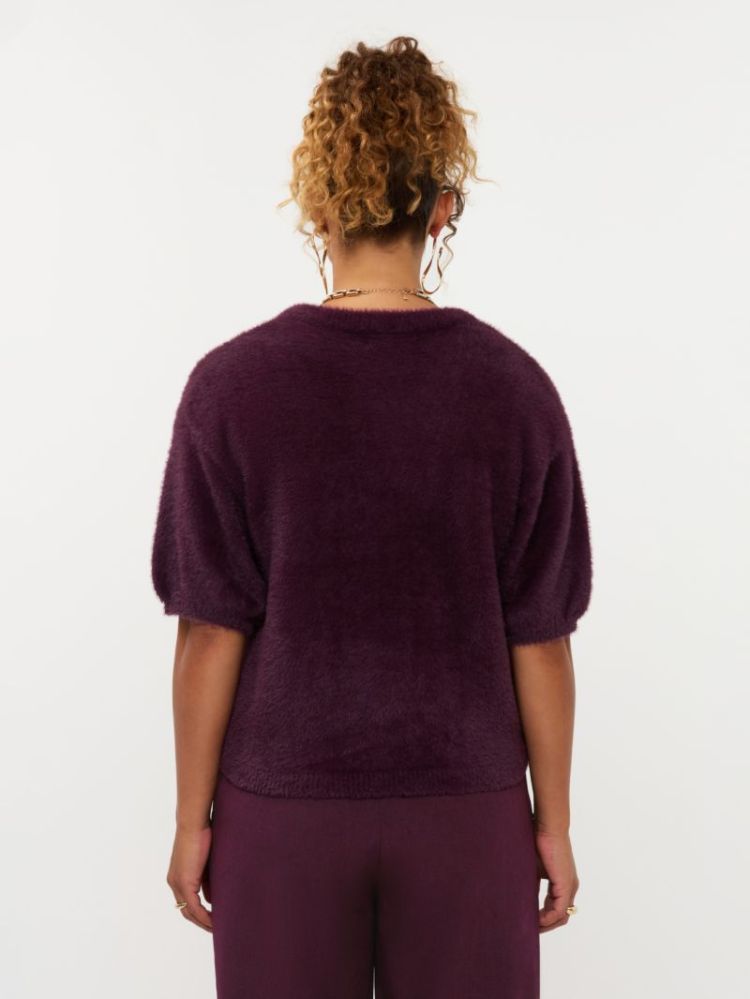  AUBERGINE 